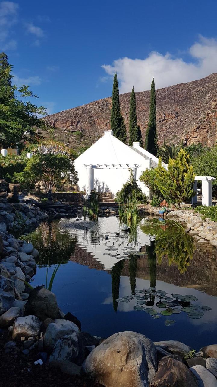 Montagu Little Sanctuary - Hot Spring Access At Reduced Price Apartman Kültér fotó