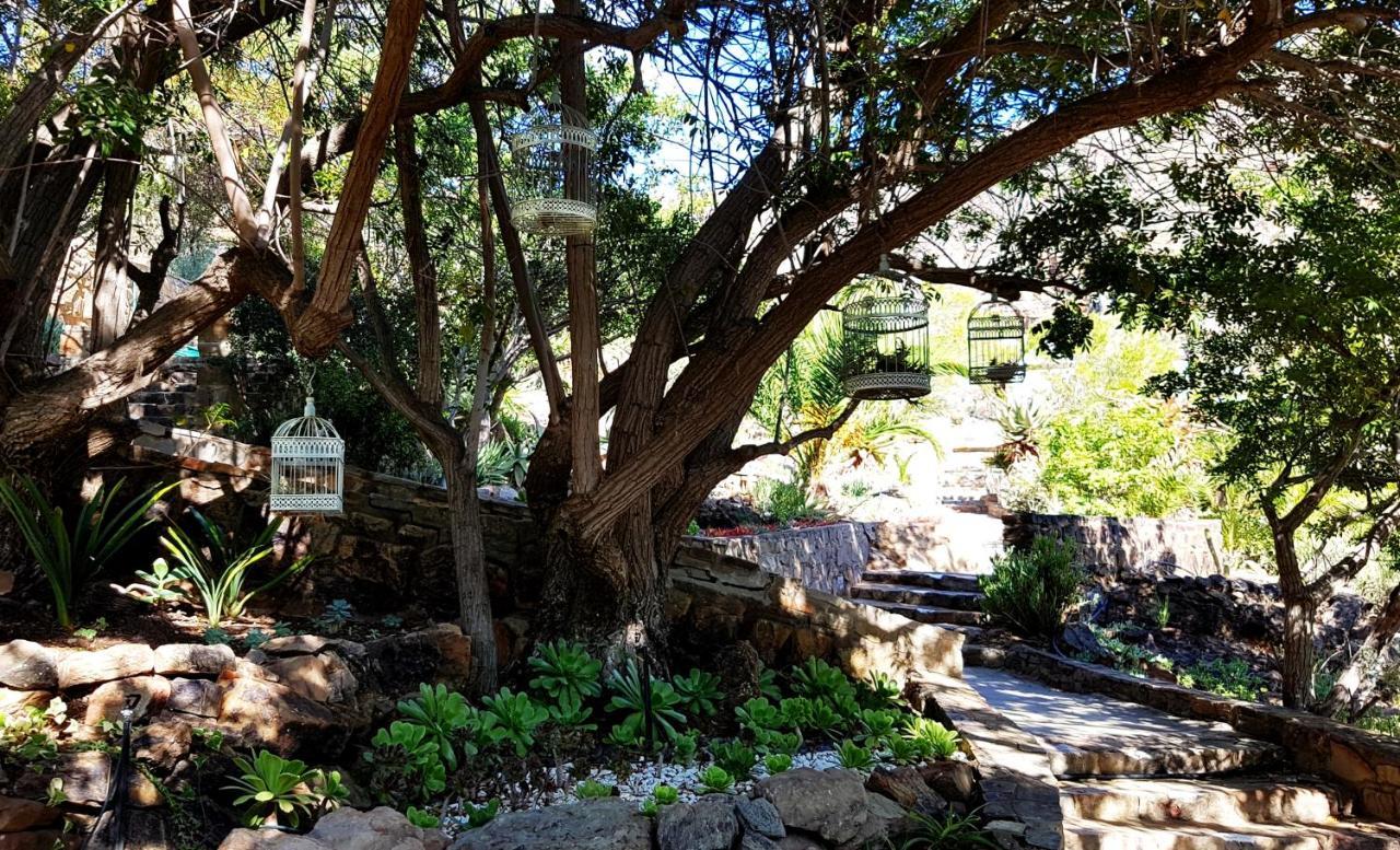 Montagu Little Sanctuary - Hot Spring Access At Reduced Price Apartman Kültér fotó