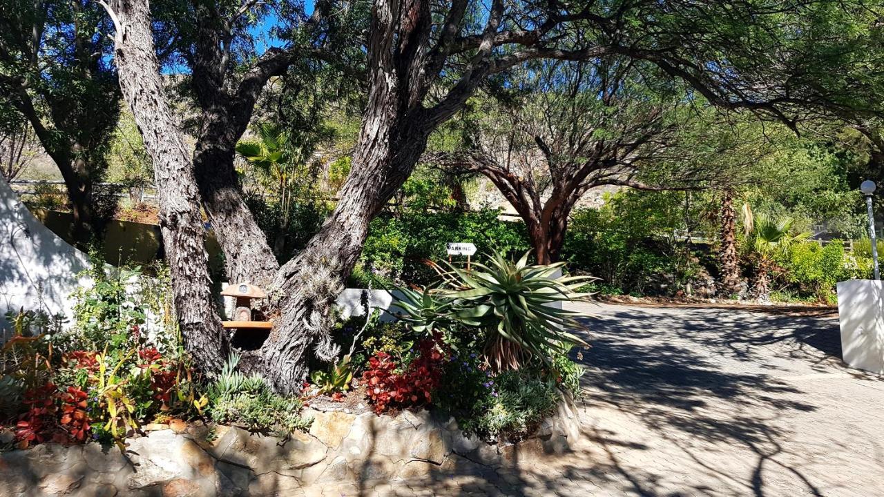 Montagu Little Sanctuary - Hot Spring Access At Reduced Price Apartman Kültér fotó
